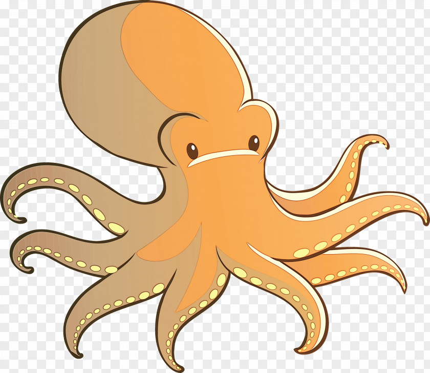 Octopus Giant Pacific Cartoon Furniture PNG