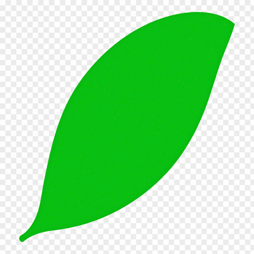 Plant Logo Green Leaf PNG