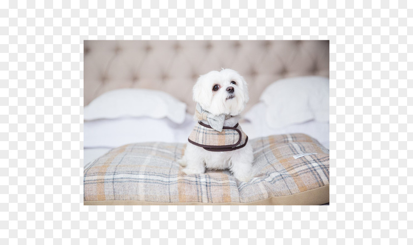 Puppy Dog Breed Companion Textile PNG