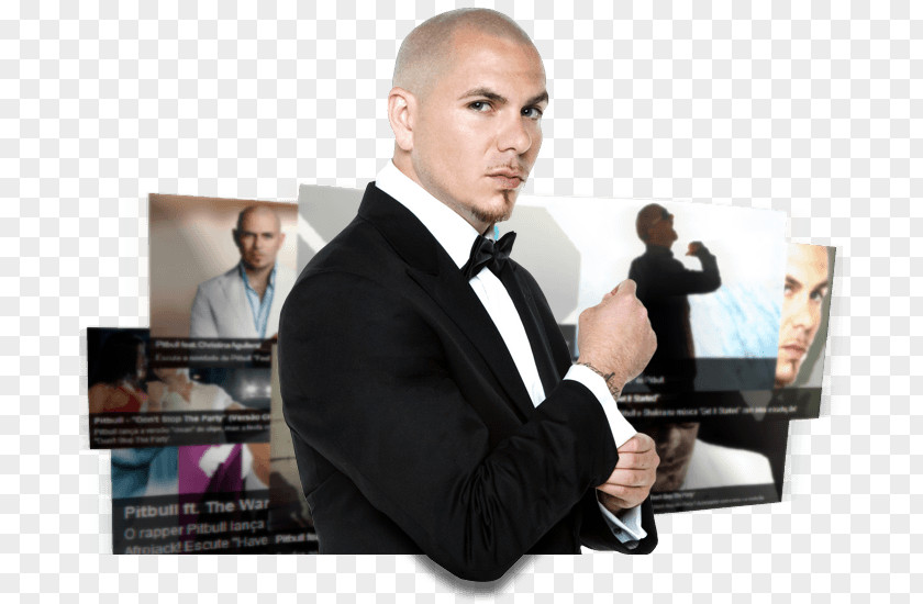 Actor Pitbull Pit Bull Song Greatest Hits PNG