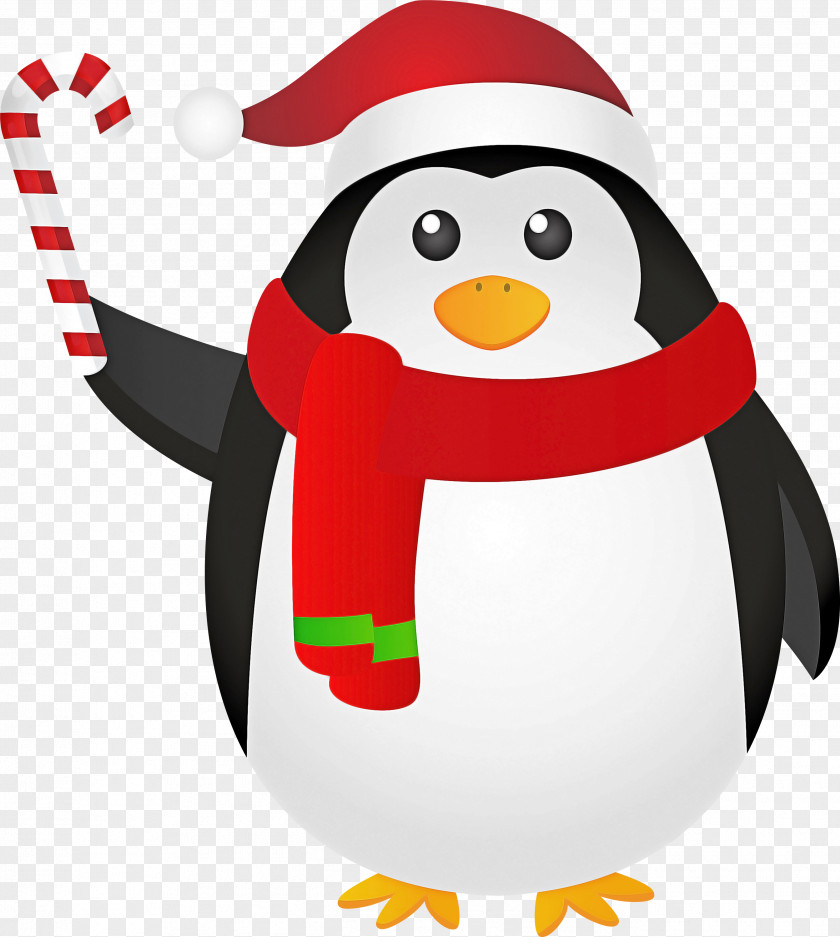 Bird Christmas Penguin PNG