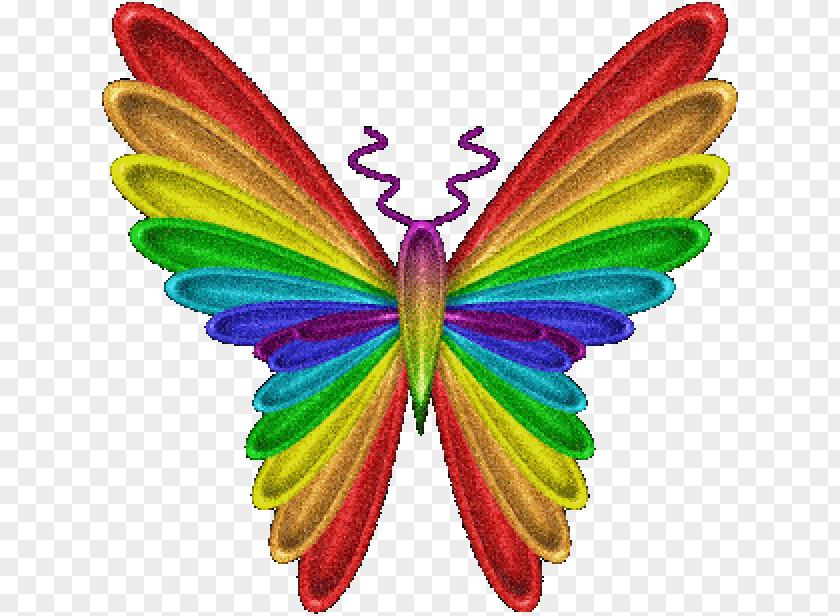 Butterfly Clip Art Rainbow Color Image PNG