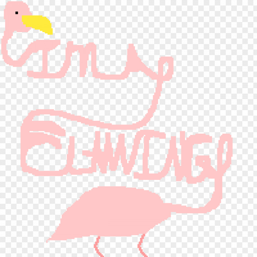 Flamingos Graphic Design Bird PNG