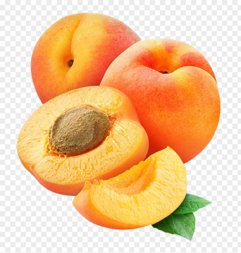 Peach Apricot Fruit Clip Art PNG