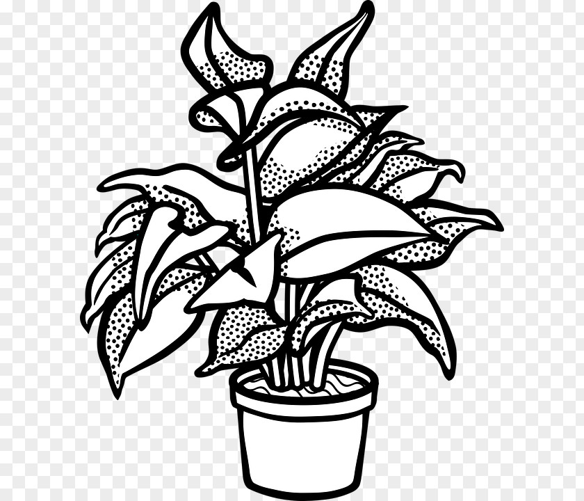 Plants Houseplant Flowerpot Clip Art Vector Graphics Drawing PNG