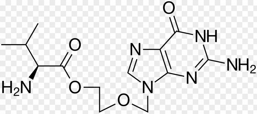 Pom Purin Guanosine Triphosphate Diphosphate Purine G Protein RNA PNG