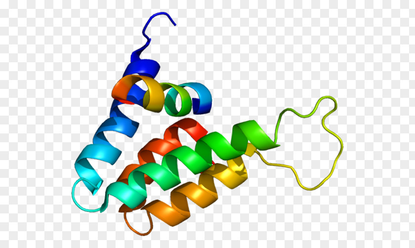 SIN3B Protein Gene HDAC1 IKZF1 PNG