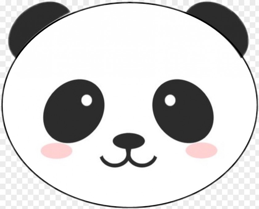 Bear Giant Panda Cuteness Desktop Wallpaper Kawaii PNG