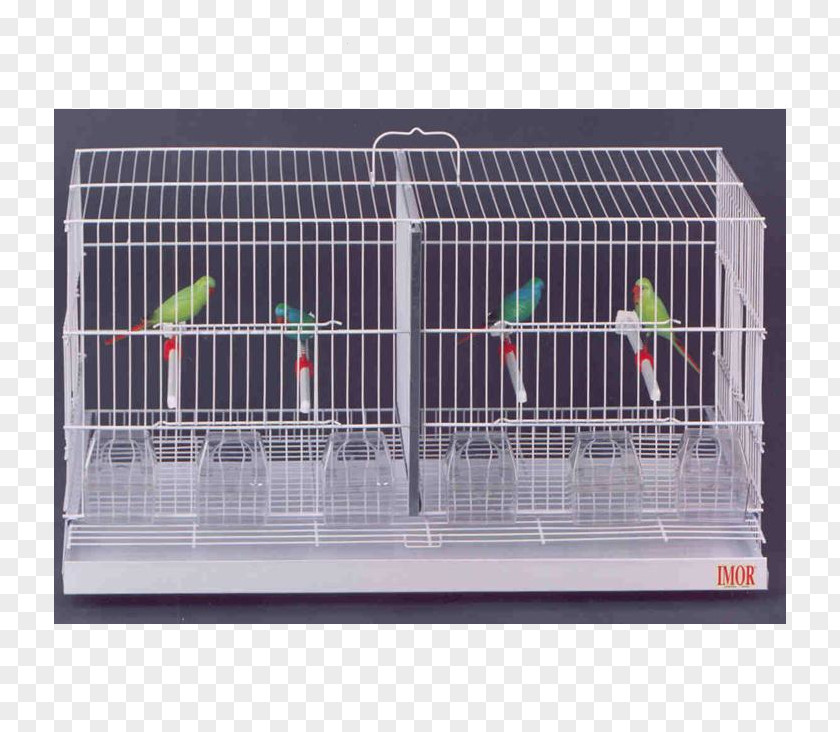 Bird Cage Domestic Canary Comedero Animal PNG