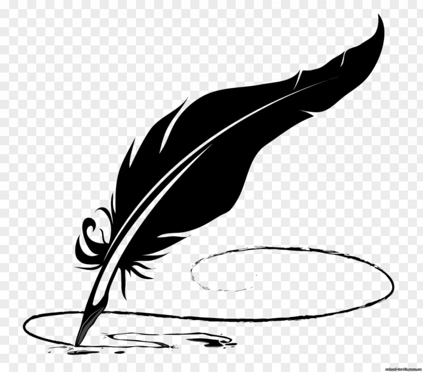 Feather Pen Newton's Rings Quill Clip Art PNG