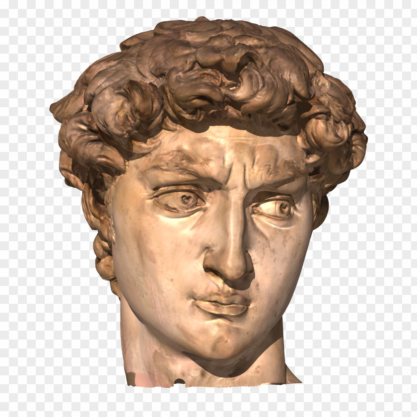 Head Michelangelo David Statue PNG