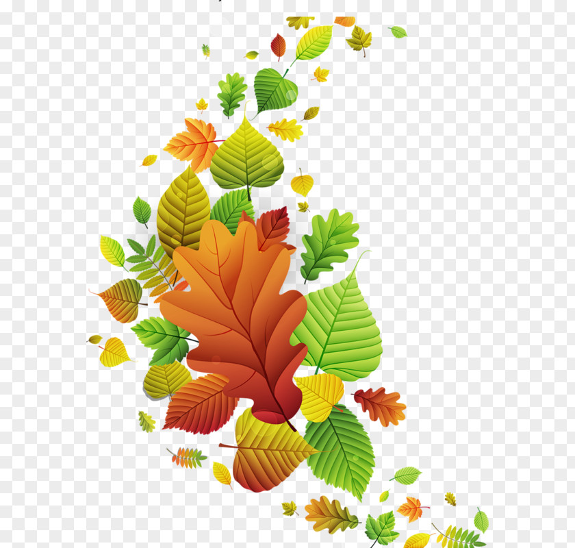 Leaves Watercolor Autumn Photography Clip Art PNG