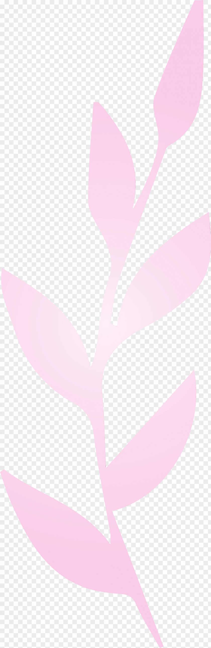 Petal Leaf Pink M Font Meter PNG