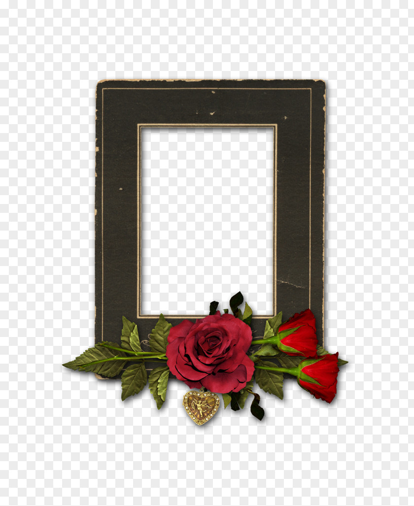 Piza Picture Frames The Happiness Equation: Want Nothing + Do Anything = Have Everything Blog Floral Design Daum PNG