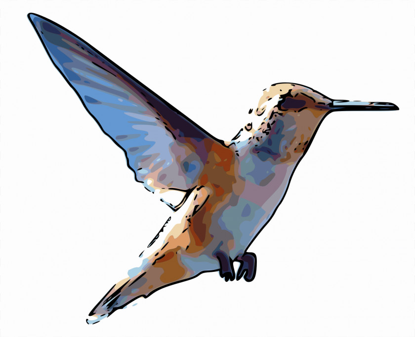 Rambo Rufous Hummingbird Clip Art PNG