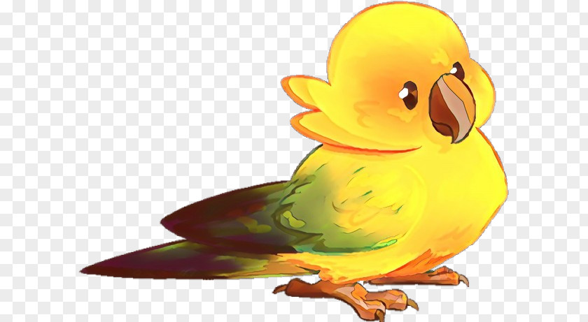 Bird Cartoon Parrot Yellow Beak PNG