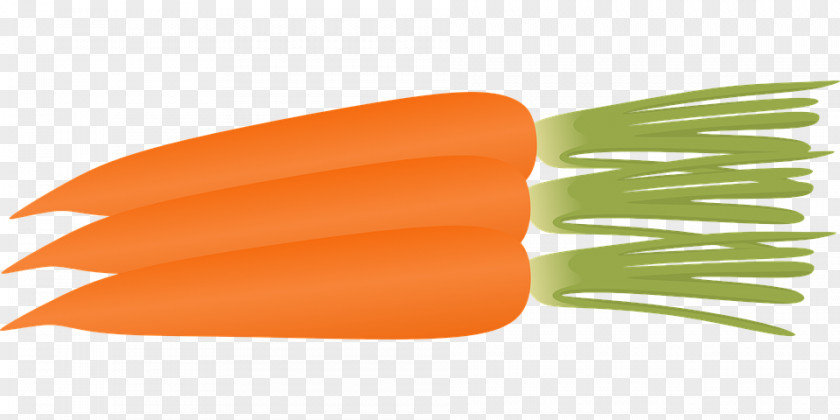 Carrot Watercolor Clip Art PNG