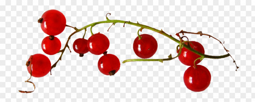Cherry Red Fruit Punaisen Tuvan Viinitila Redcurrant Auglis Strawberry PNG