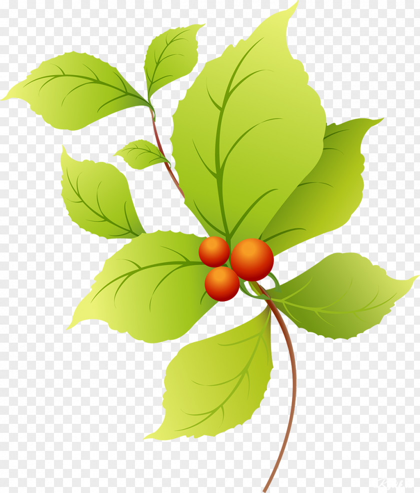 Leaf Collage Clip Art PNG