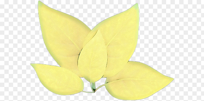 M. Butterfly Fruit PNG