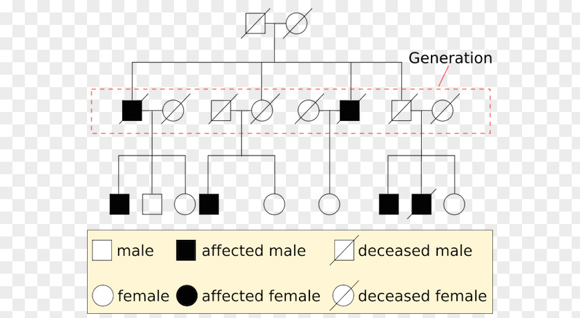 Bloodstain Pattern Analysis Pedigree Chart Genetics Mendelian Inheritance PNG
