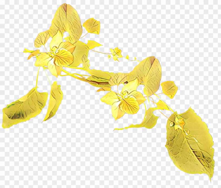 Forsythia Flowering Plant Yellow Flower Petal PNG