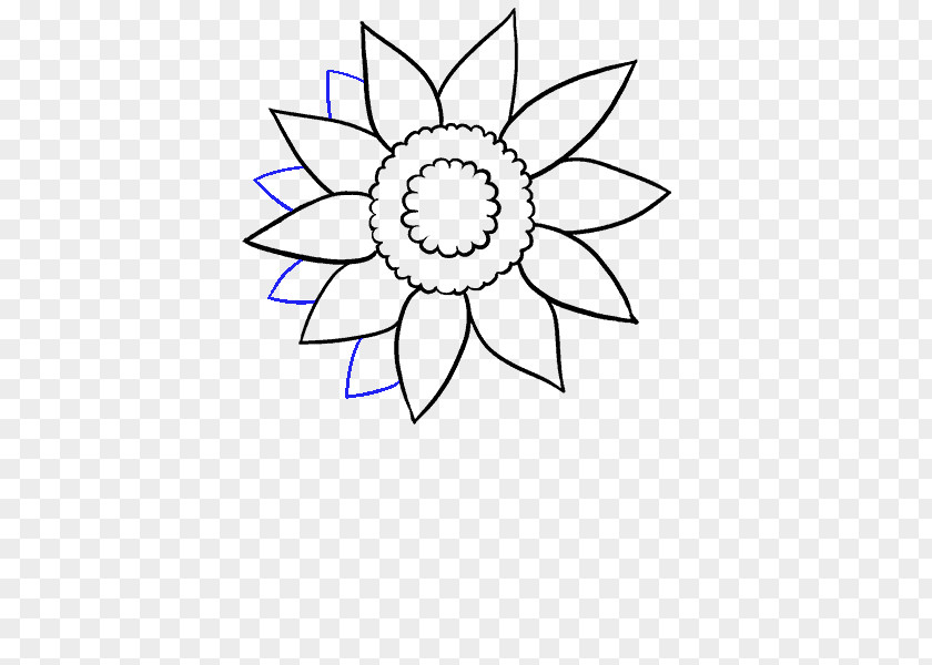 Painting Drawing Common Sunflower Draw With Pastels Sketch PNG