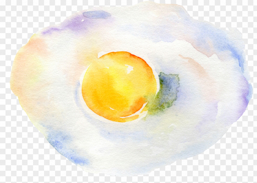 Poached Eggs Fried Egg Watercolor Painting PNG