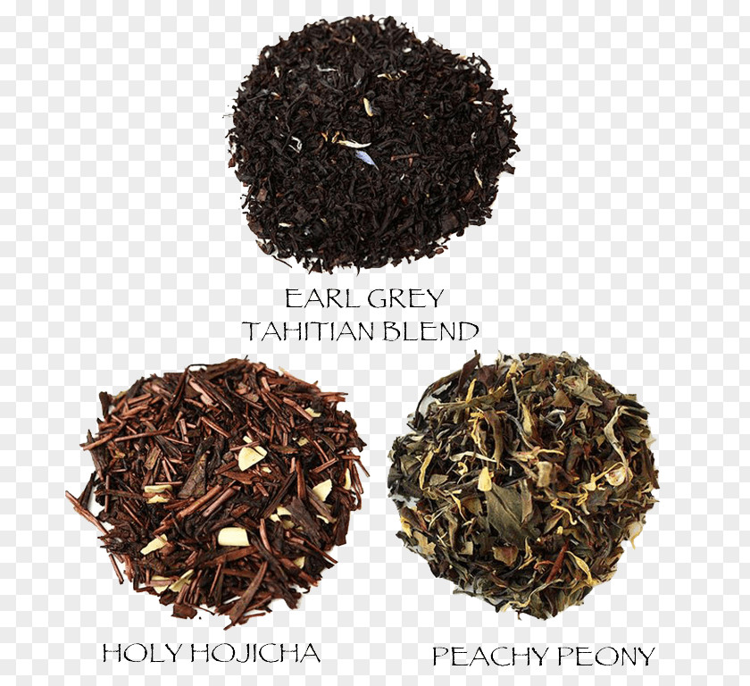 Tea Dianhong Nilgiri Hōjicha Earl Grey Oolong PNG