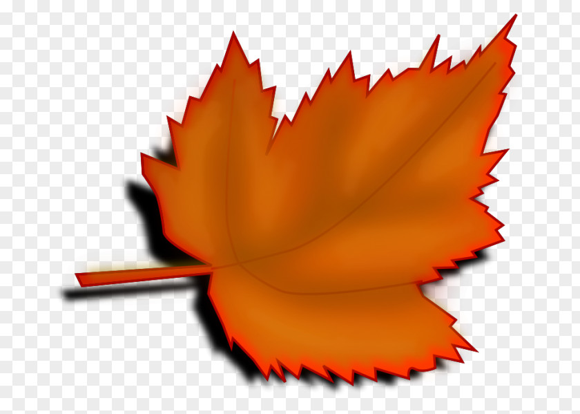 Autumn Clip Art Leaf Color Desktop Wallpaper PNG