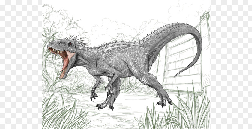 Indominus Tyrannosaurus Drawing Rex Jurassic Park PNG