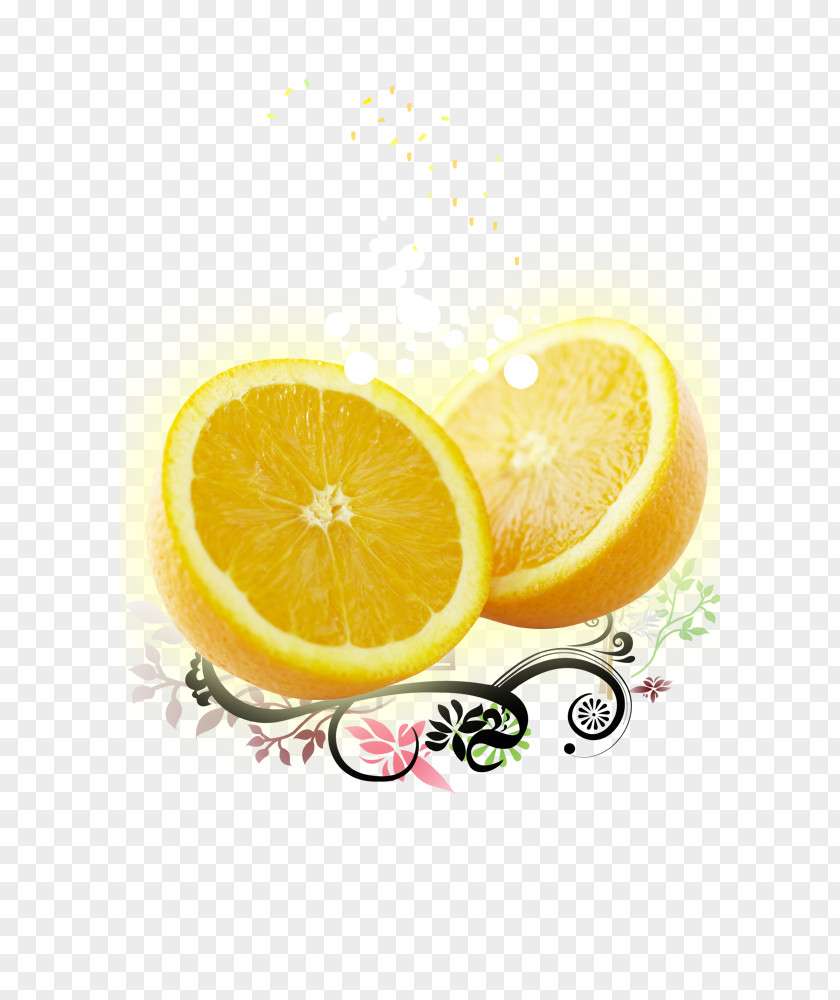 Orange Lemon Auglis Illustration PNG