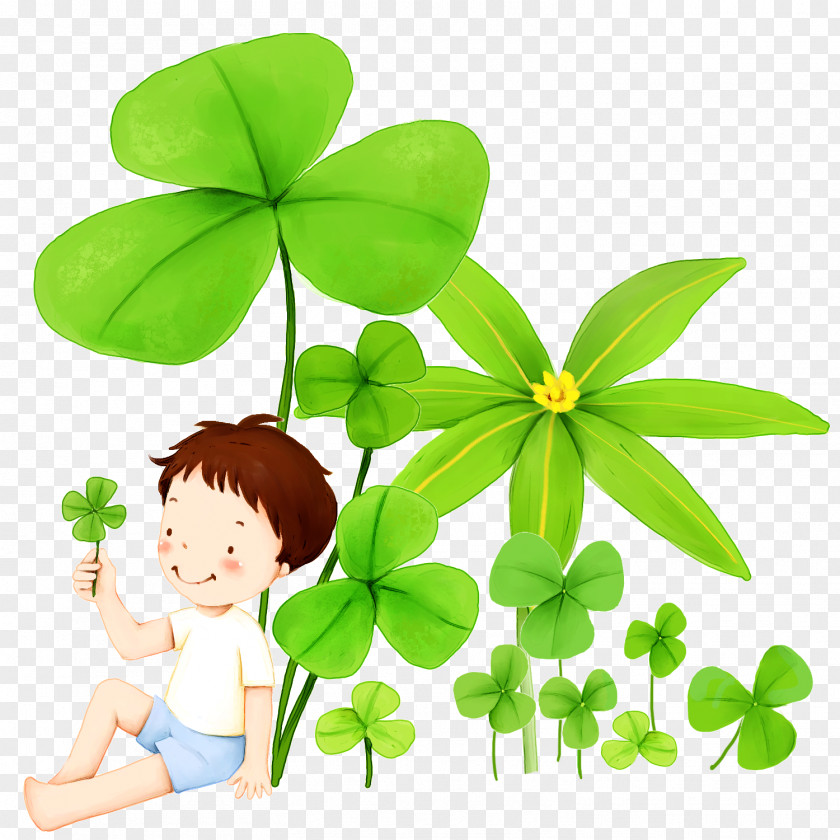 A Boy Holding Clover Illustrator Child Cartoon Illustration PNG