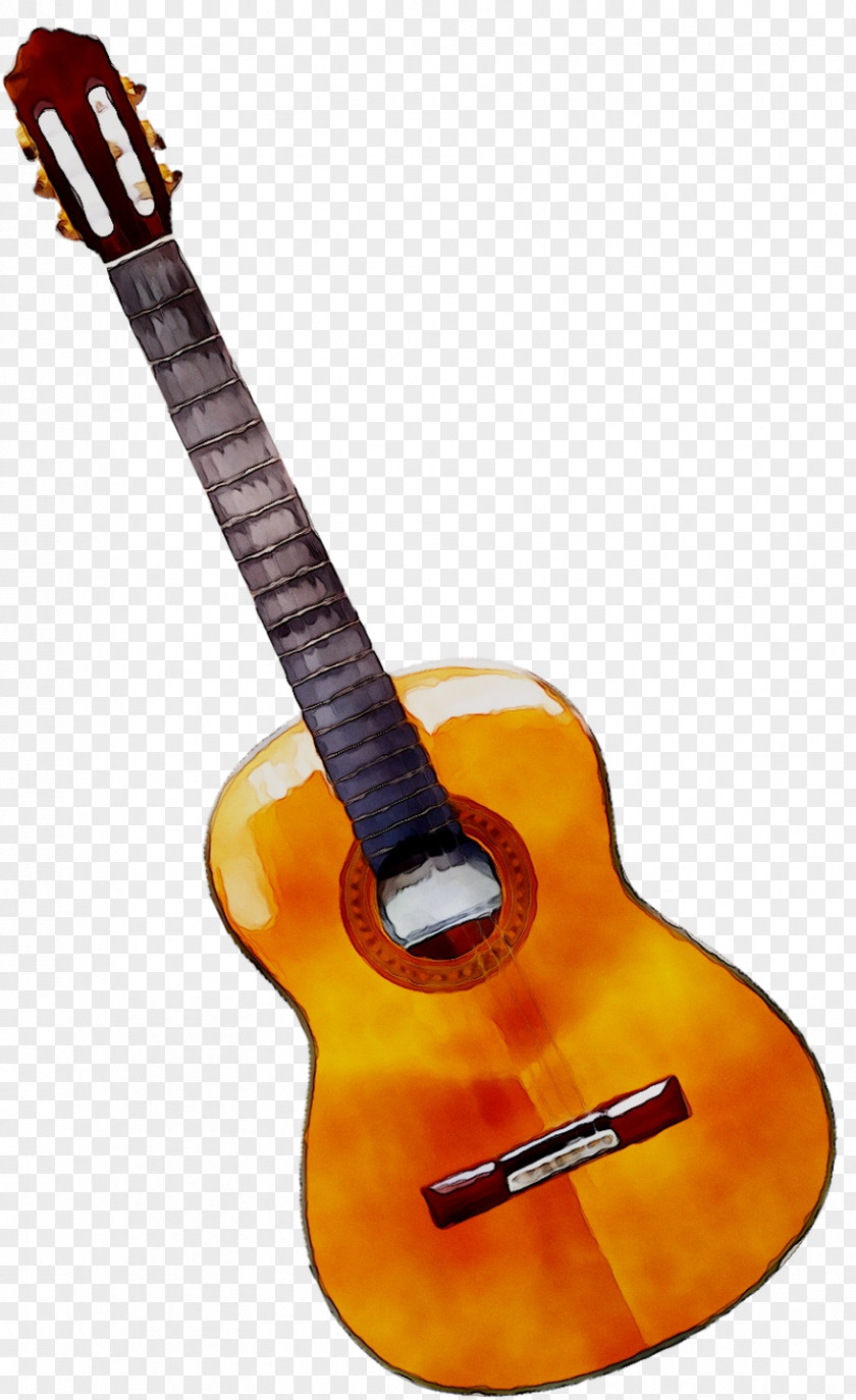 Acoustic Guitar Tiple Cuatro Mandolin PNG
