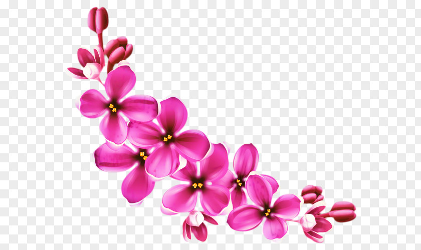 Clip Art Flower Bouquet Image PNG