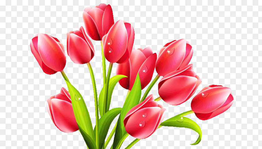 Flower PNG