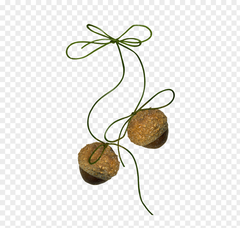 Plant Acorn Autumn Design PNG