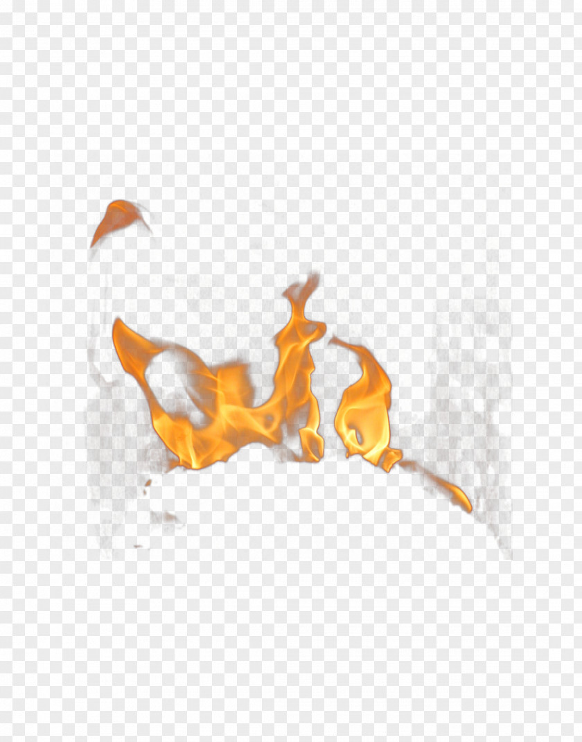 Beautiful Orange Flames Free Buckle Material Fire Flame Clip Art PNG