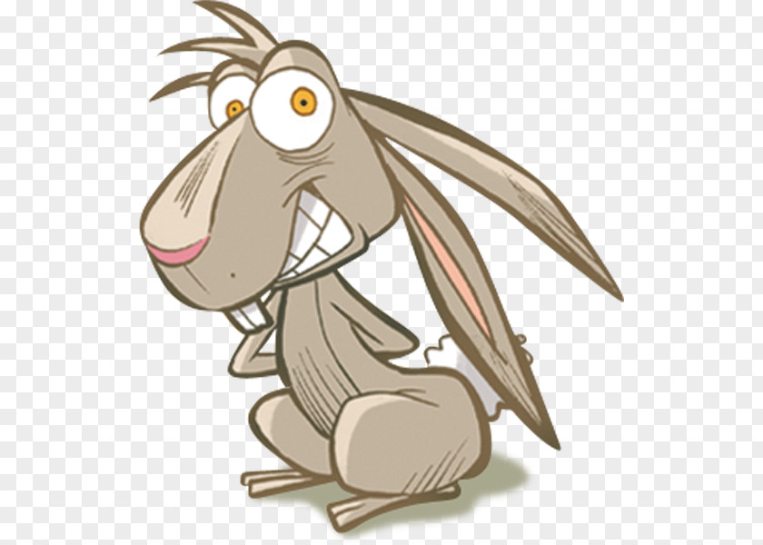 Bird Hare Flightless Clip Art PNG