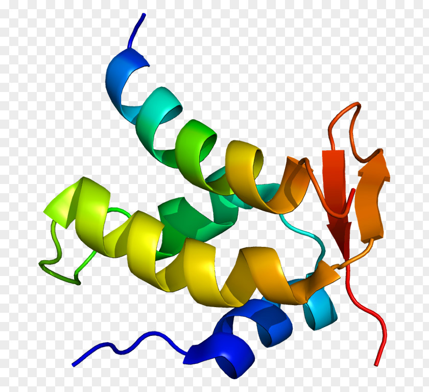 CTDP1 WD Repeat-containing Protein 77 Gene Enzyme Arginine Methyltransferase 5 PNG