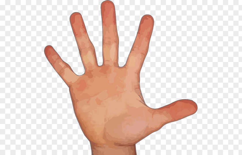 Hand Middle Finger Clip Art PNG