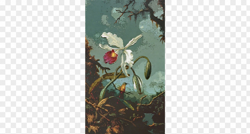 Painting Still Life Orchid And Hummingbird Artist PNG