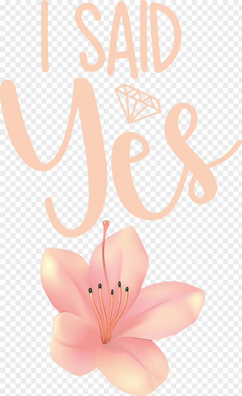 Petal Flower Line Font Meter PNG