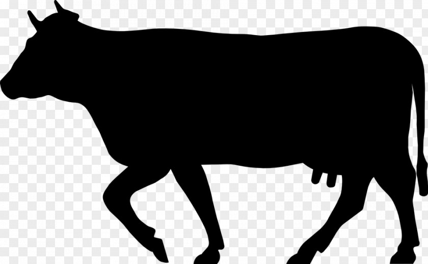 Silhouette Beef Cattle Jersey Dairy Farming PNG