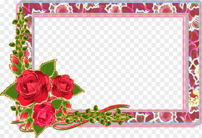 Flower Garden Roses Picture Frames Paper PNG