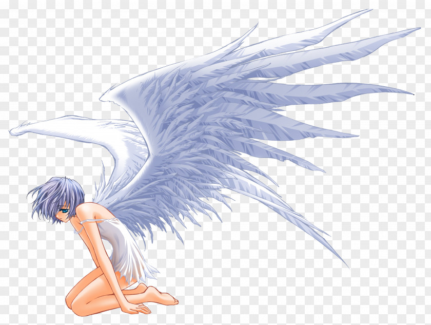 Angel Wings Drawing PNG