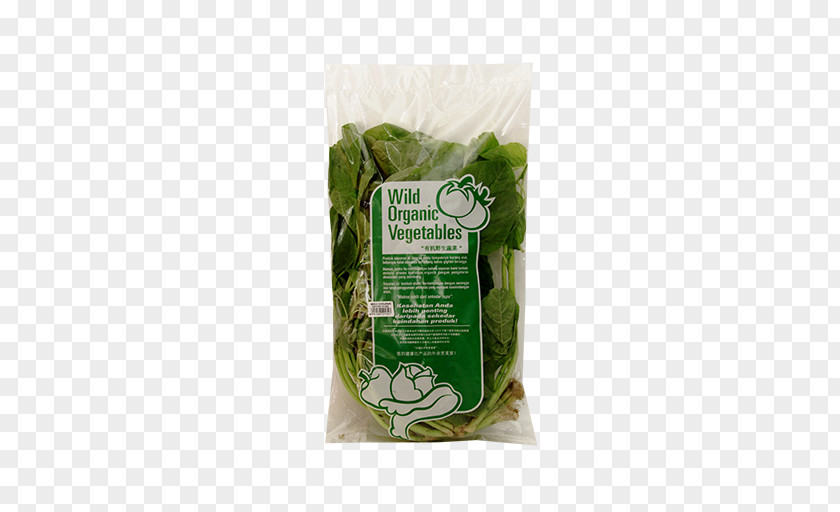 Bayam Amaranthus Tricolor Leaf Vegetable Spinach Pesticide PT. Momenta Agrikultura Amazing Farm PNG