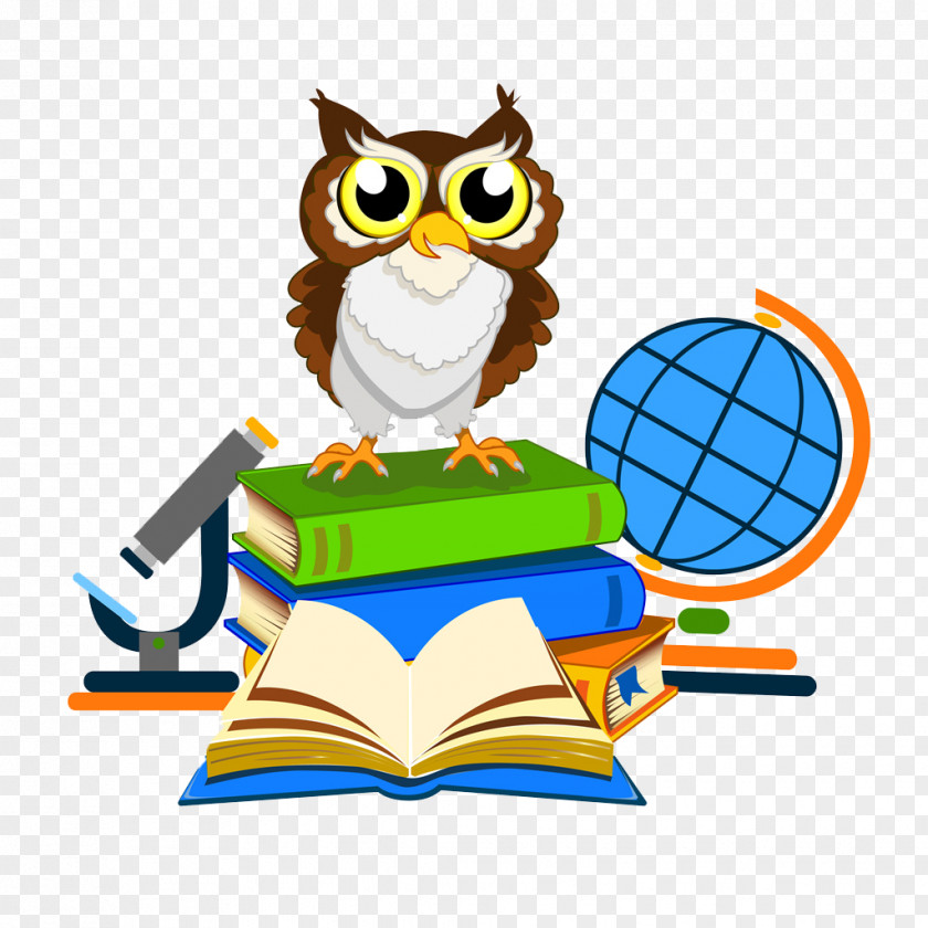 Lovely Owl Illustration PNG