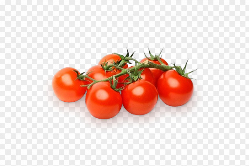 Salad Frikadeller Cherry Tomato Vegetable Cultivar PNG