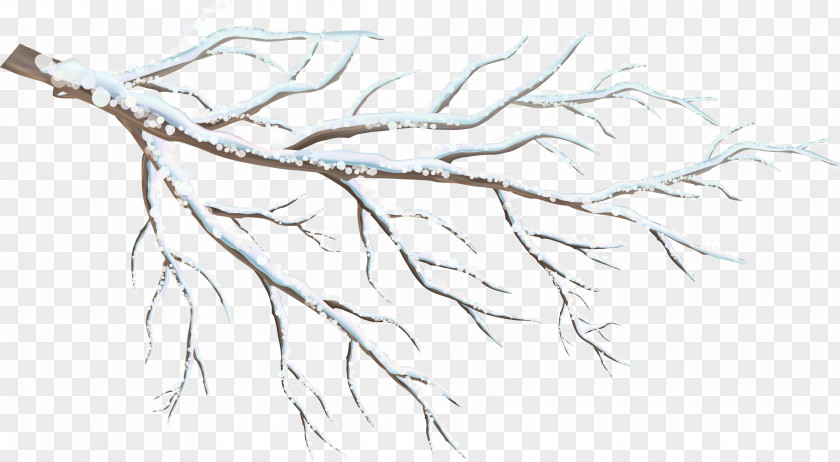 Snow Branches Information Clip Art PNG